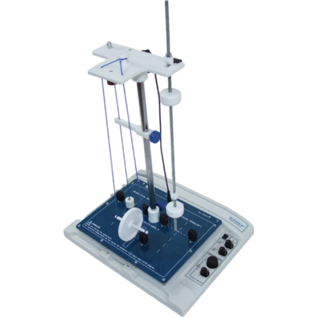 Pendulums Lab
